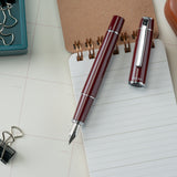 Pilot Prera Fountain Pen - Cinnamon