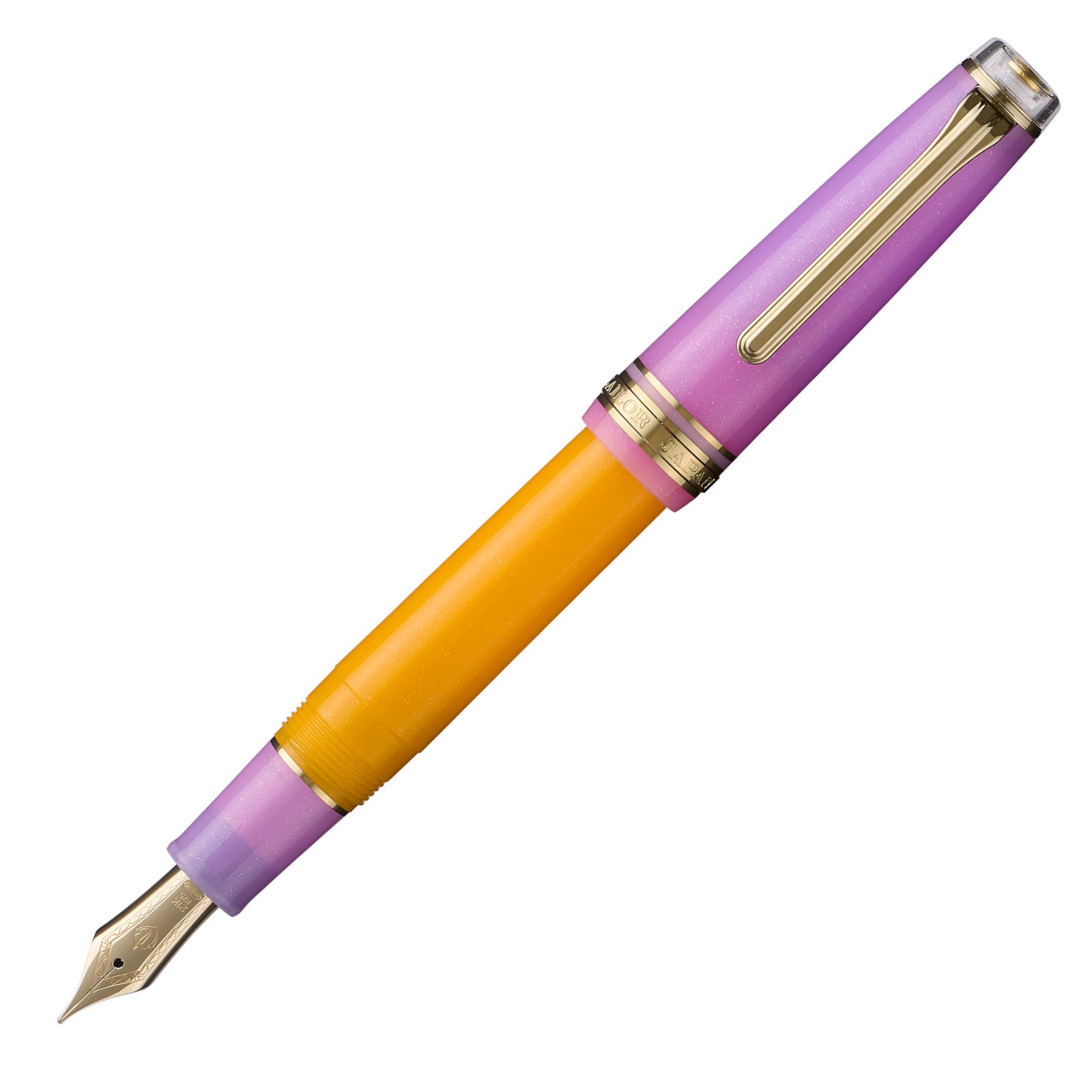 Sailor Pro Gear Fountain Pen - Acai Berry (Special Edition