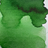 Sailor Shikiori Kusa Asobi - Sasabune - 20ml Bottled Ink