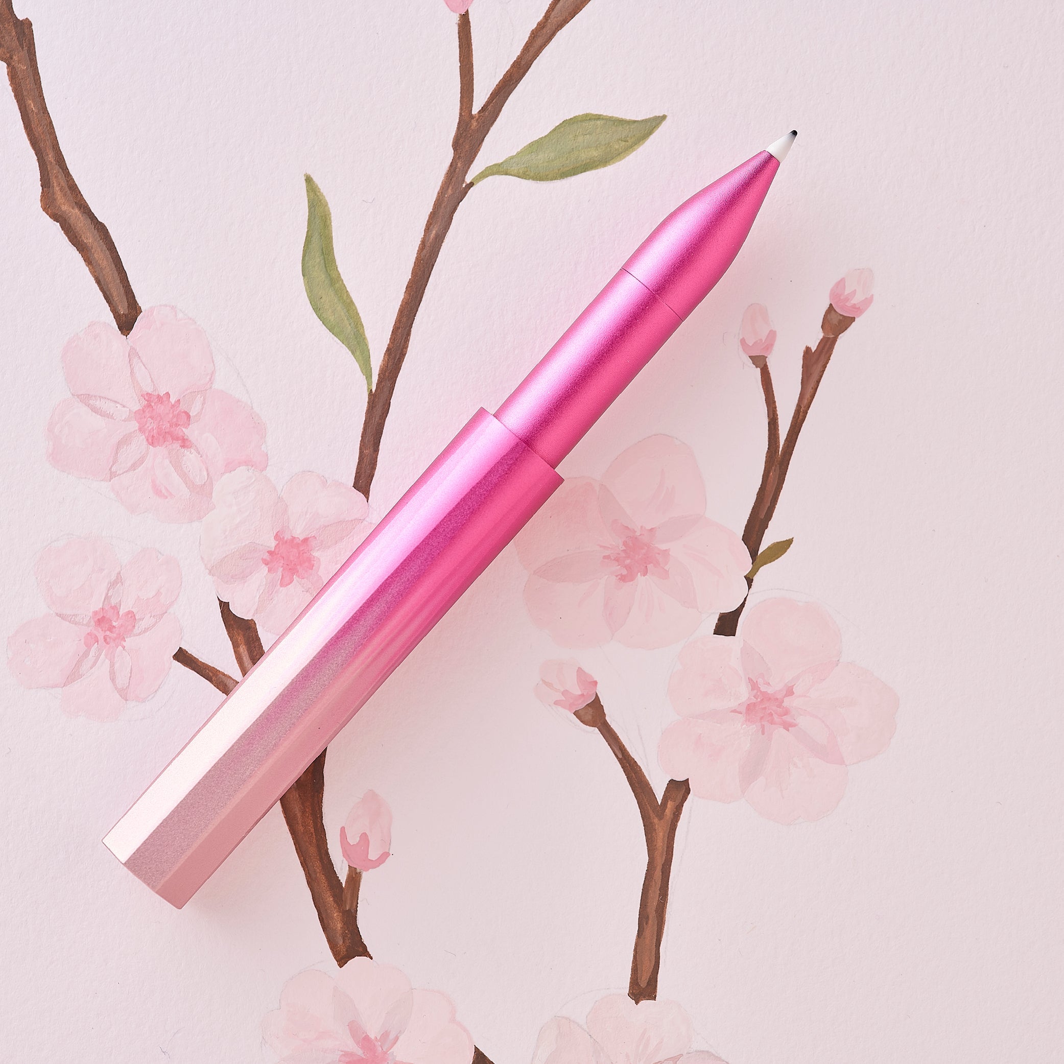 Tom's Studio Wren - Sakura (Special Edition) – Atlas Stationers