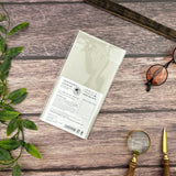 Traveler's Dot Notebook Refill - Regular Size