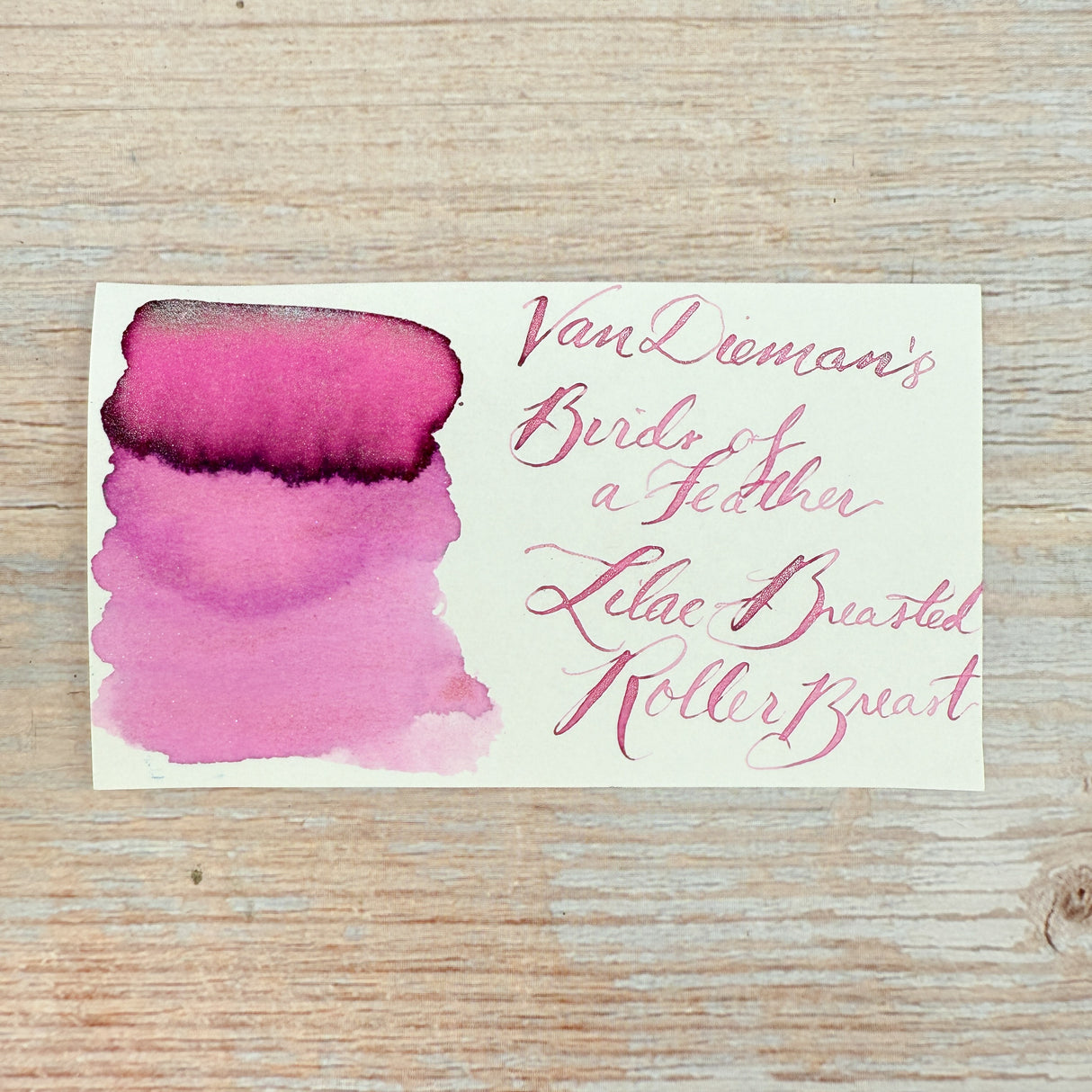 Van Dieman's Birds of a Feather - Lilac-Breasted Roller Breast - 30ml Bottled Ink