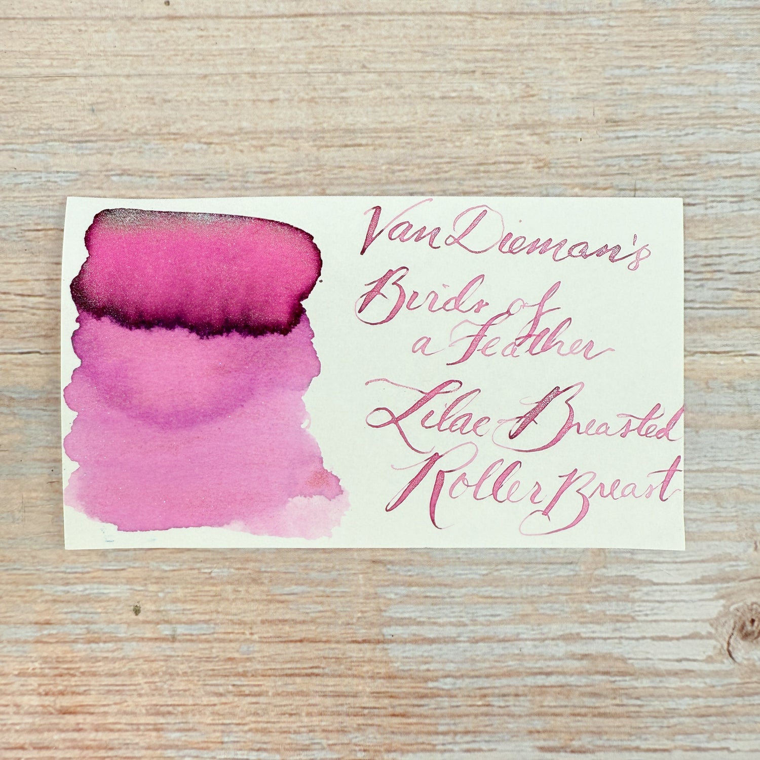 Van Dieman's Birds of a Feather - Lilac-Breasted Roller Breast - 30ml Bottled Ink