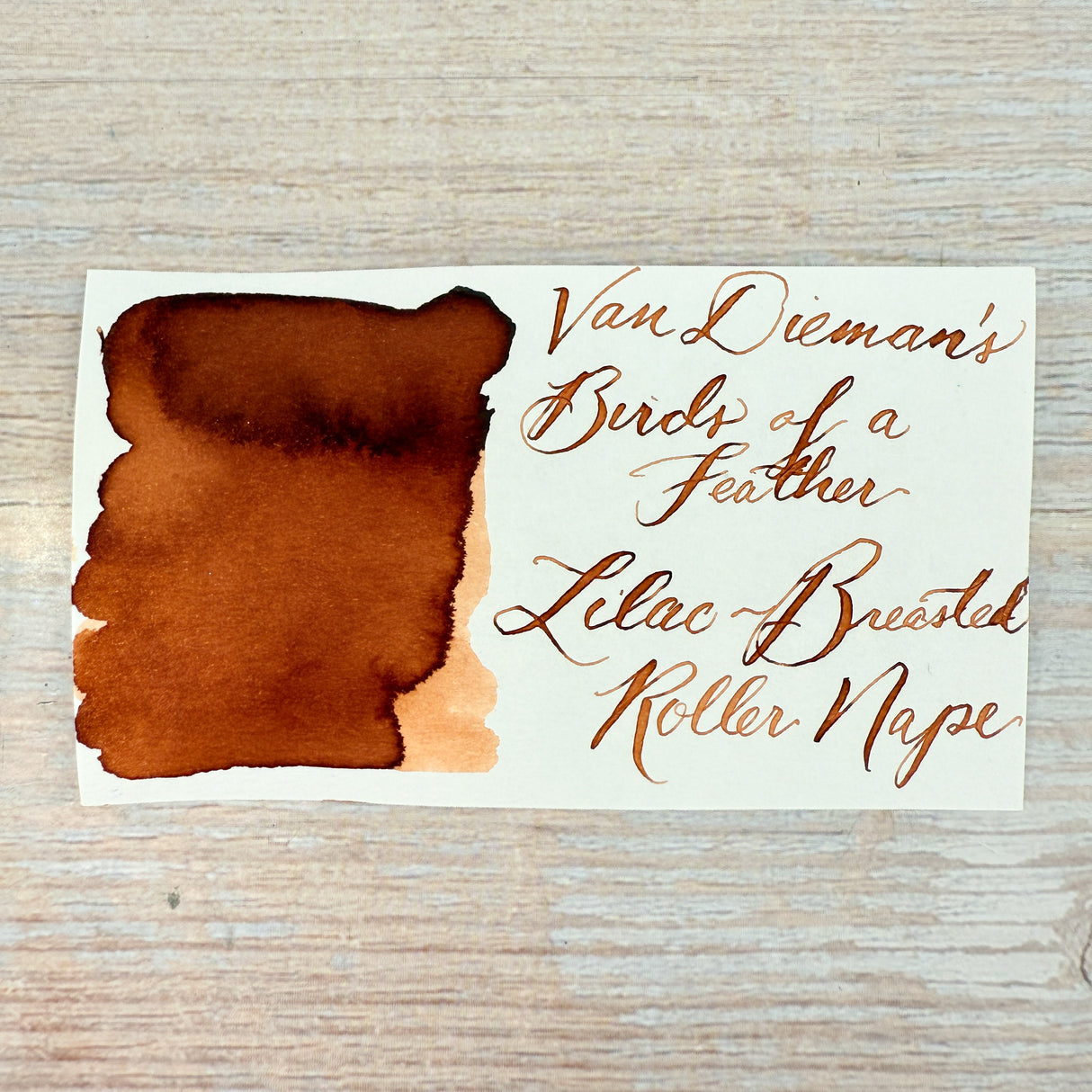 Van Dieman's Birds of a Feather - Lilac-Breasted Roller Nape - 30ml Bottled Ink