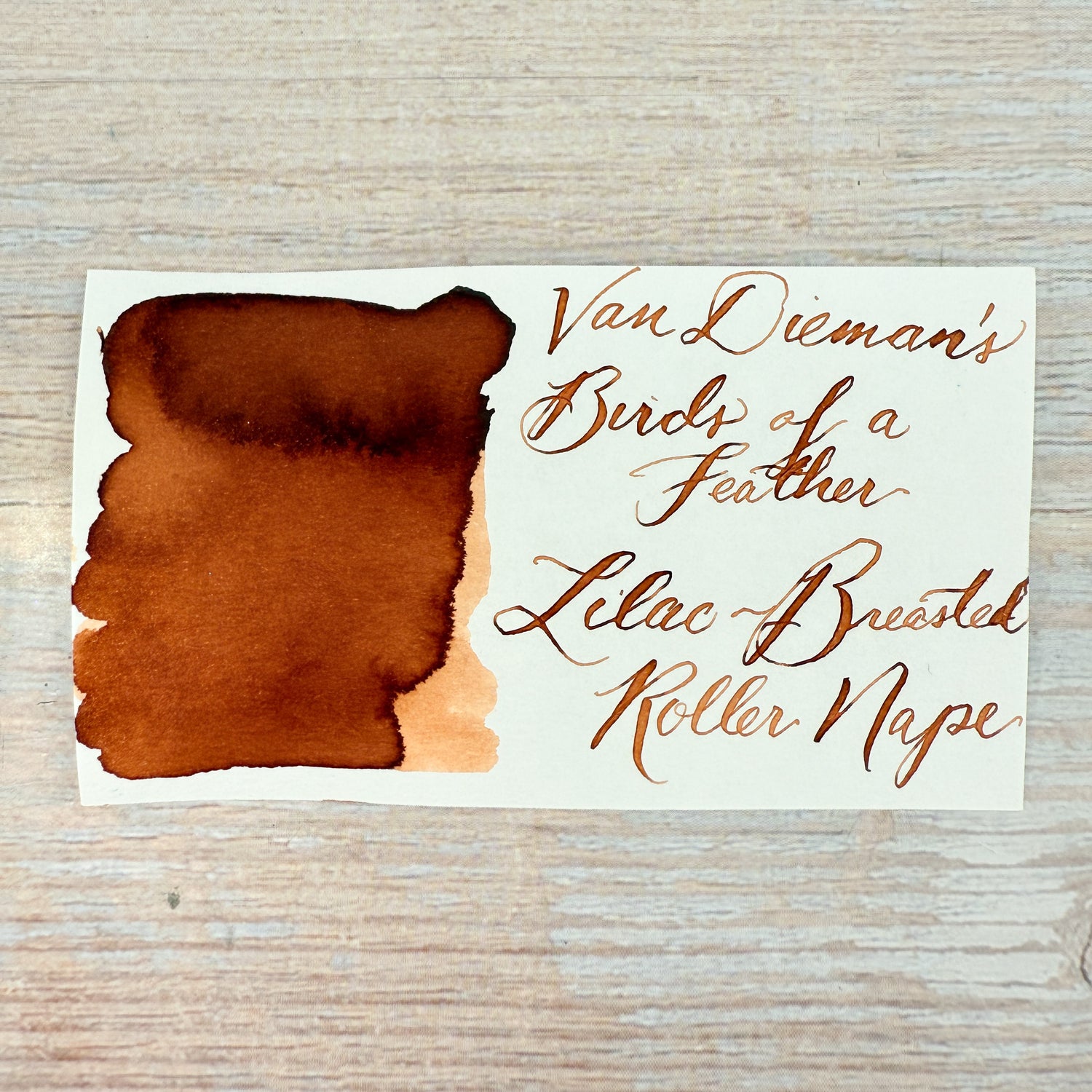 Van Dieman's Birds of a Feather - Lilac-Breasted Roller Nape - 30ml Bottled Ink