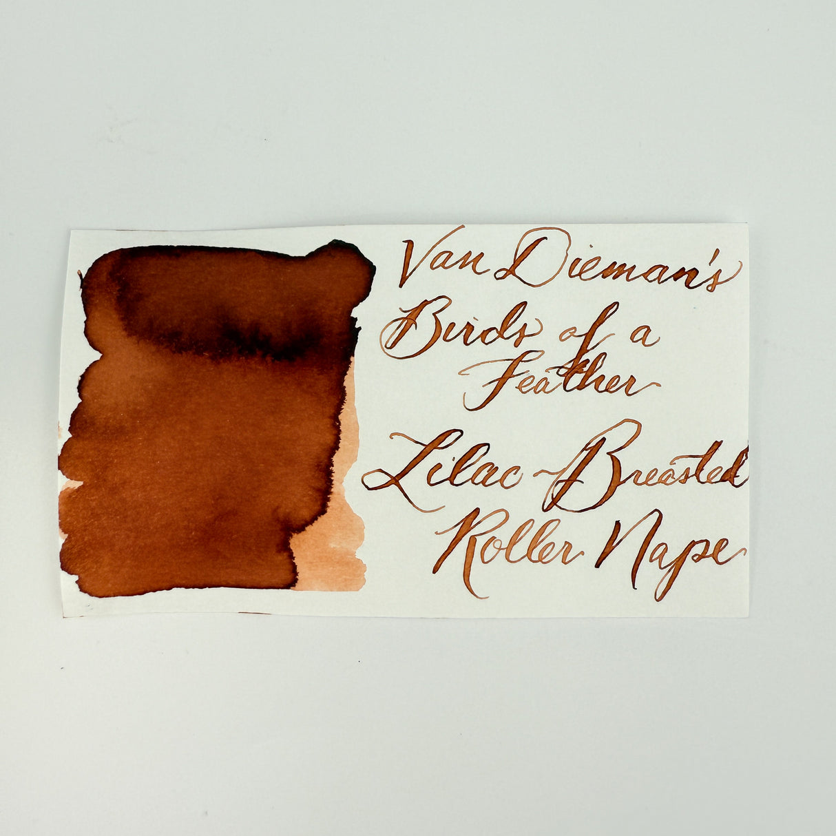 Van Dieman's Birds of a Feather - Lilac-Breasted Roller Nape - 30ml Bottled Ink