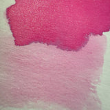 Van Dieman's Underwater - Moon Jellyfish - Shimmer Ink