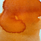 Van Dieman's Underwater - Sea Shell - Shimmer Ink