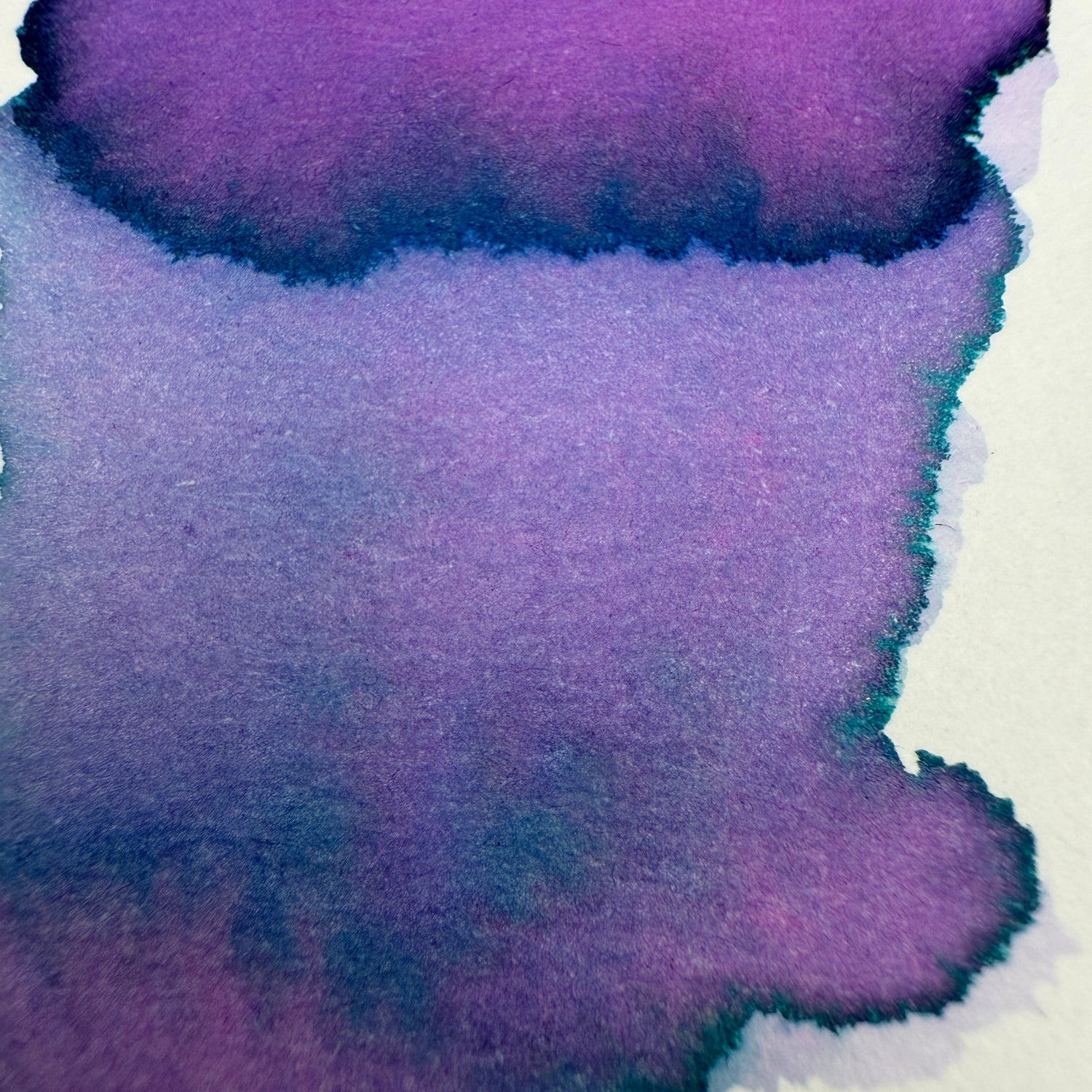 Van Dieman's Professional - Natura Dualis - Last Light - 40ml Bottled Ink