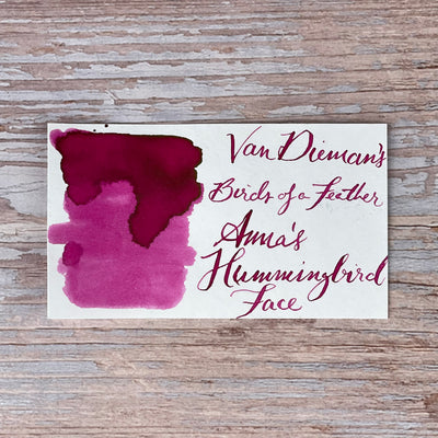 Van Dieman's Birds of a Feather - Anna's Hummingbird Face - 30ml Bottled Ink