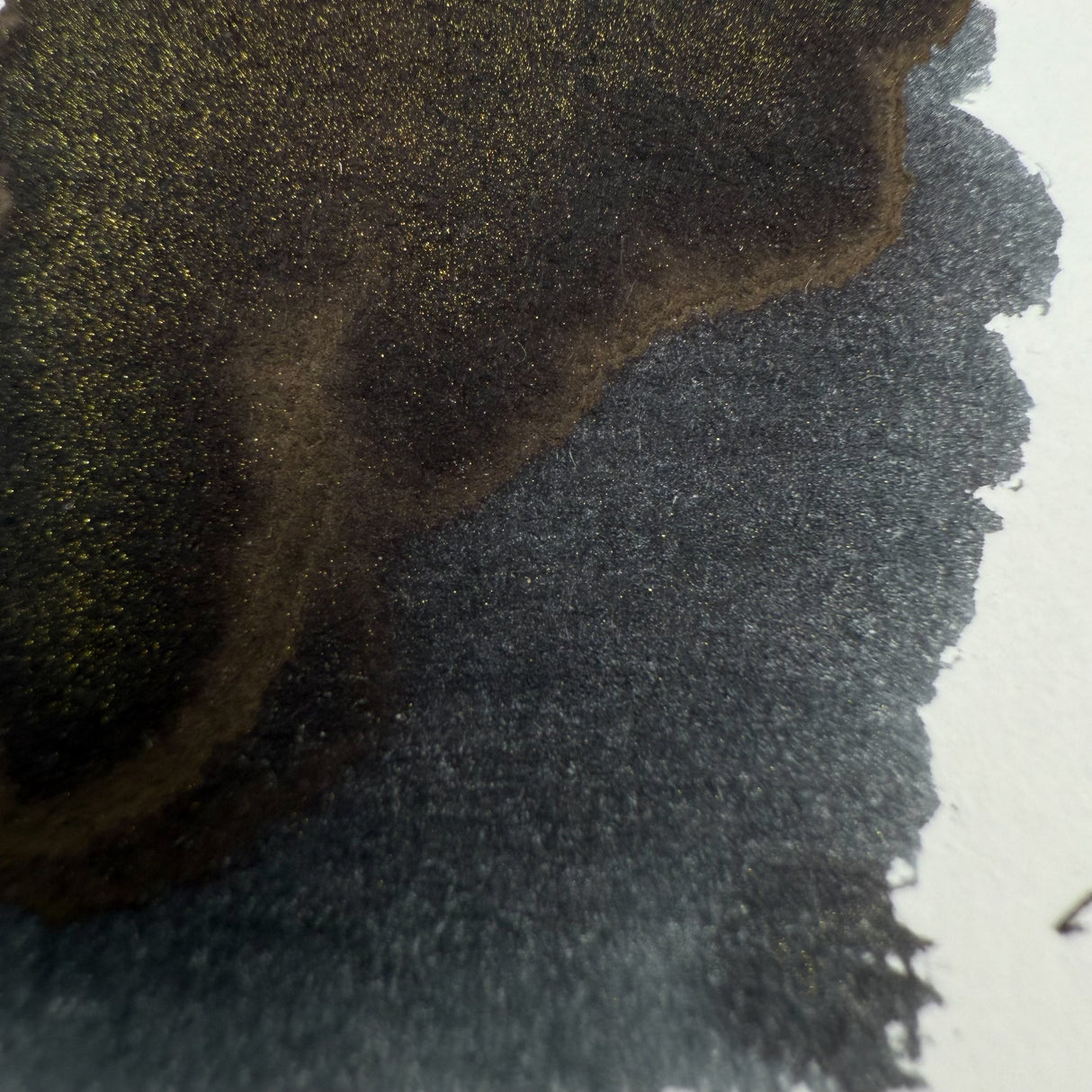 Wearingeul Narcissus & Goldmund - 30ml Bottled Ink