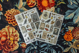 CoraCreaCrafts Curiosities Sticker Sheet