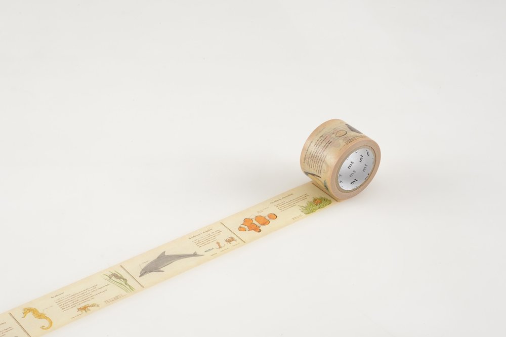 MT Washi Tape - Encyclopedia / Marine Creature