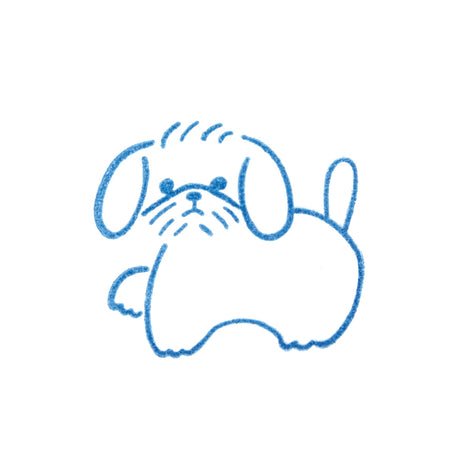 KORI JIRUSHI  Crystal Clarity Stamp M size