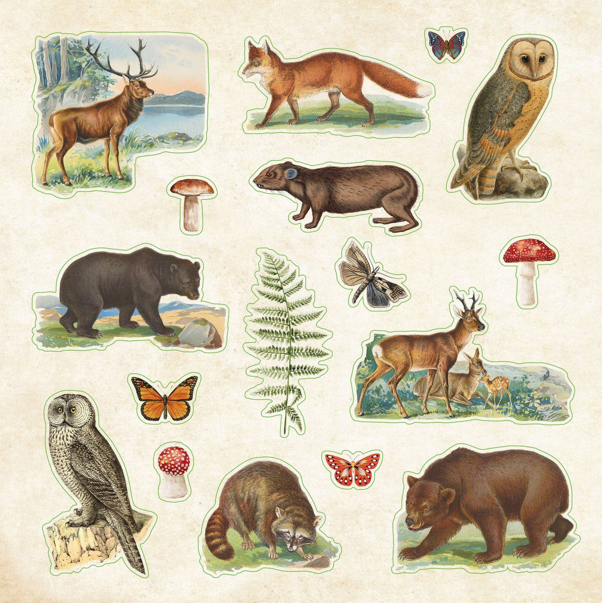 Zoological Ephemera Sticker Books