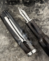 FEEL Nova Stella Platinum section and nib