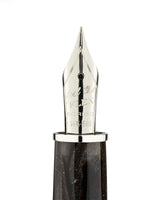 FEEL Nova Stella Platinum nib