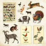Zoological Ephemera Sticker Books