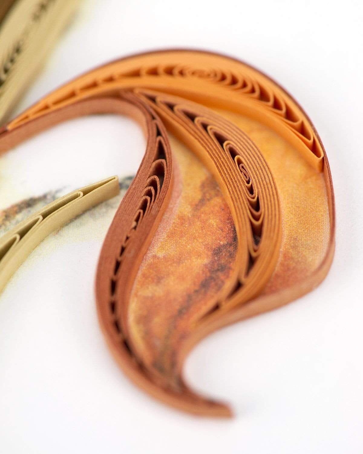 Quilled Lewis's Woodpecker Greeting Card