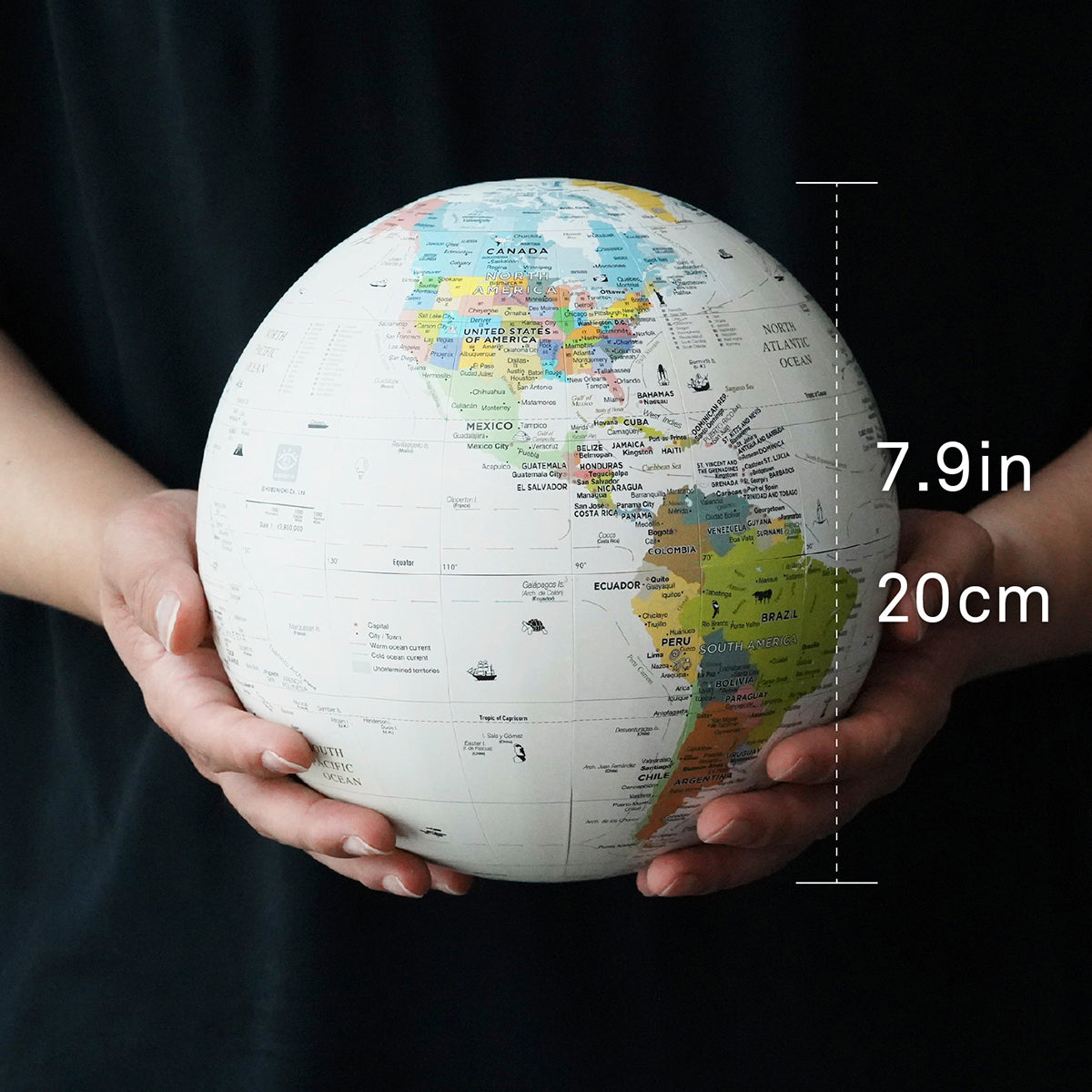 Hobonichi Globe 7.9 inch model