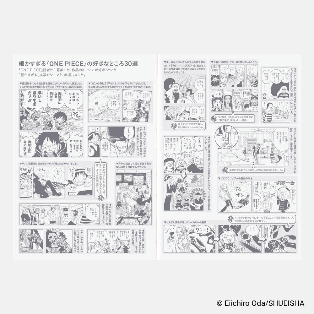 Hobonichi Techo Japanese Original Book - One Piece Edition [A6 size/Daily/Jan start/Mon start]