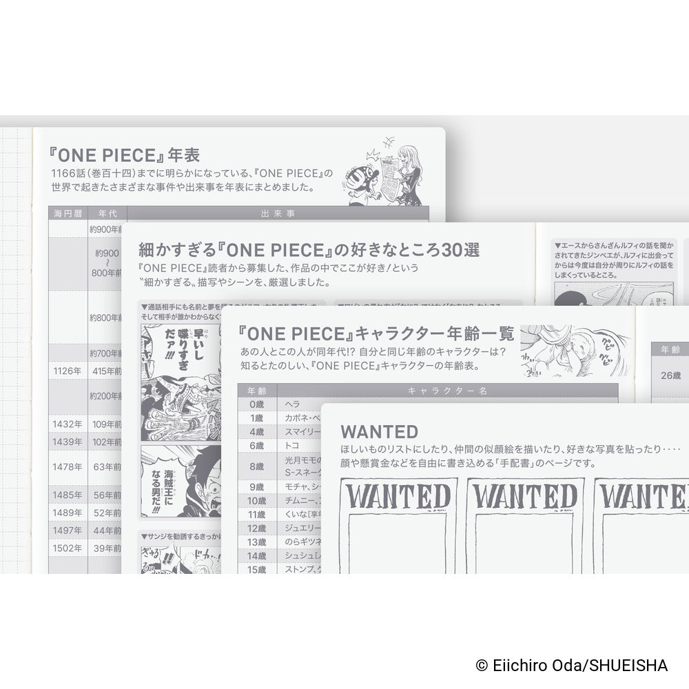 Hobonichi Techo Japanese Original Book - One Piece Edition [A6 size/Daily/Jan start/Mon start]