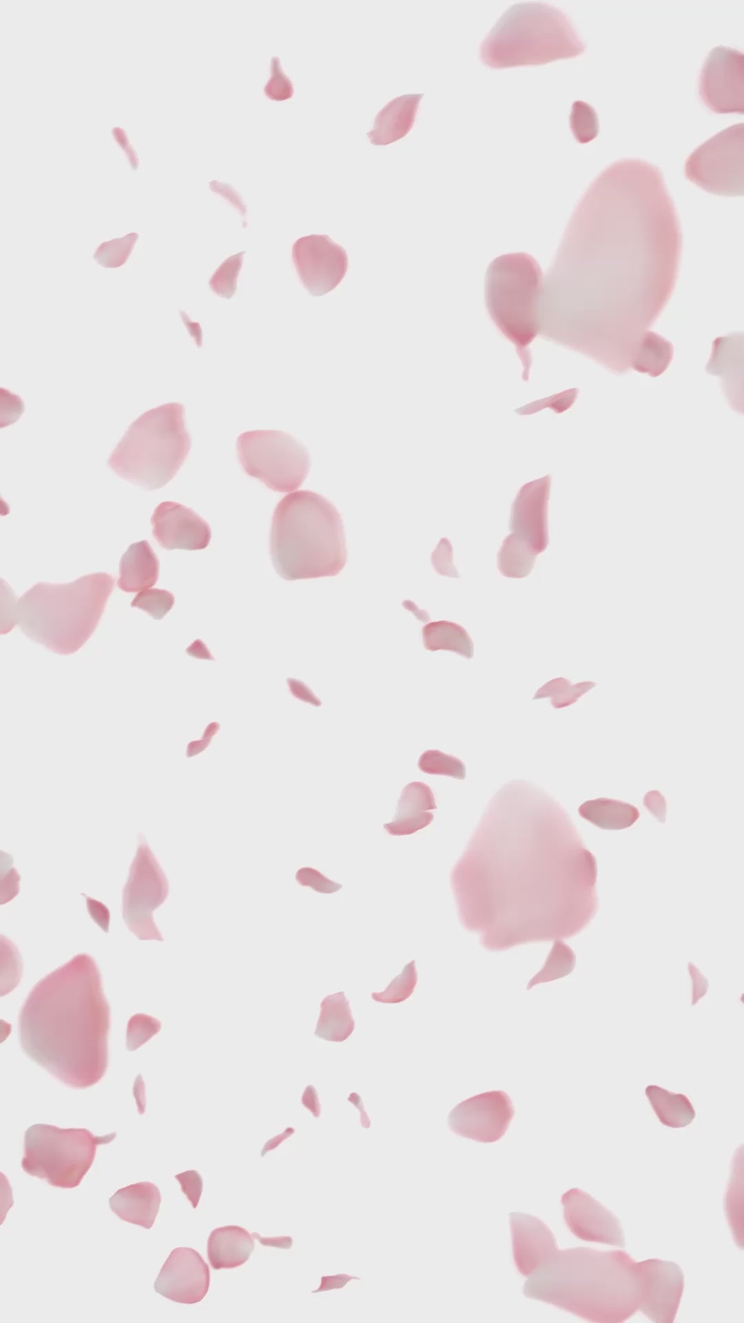 Pelikan Classic M200 Fountain Pen - Cherry Blossom (Special Edition)