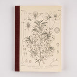 Hobonichi A5 Notebook - Graph - Tomitaro Makino: Yamazakura