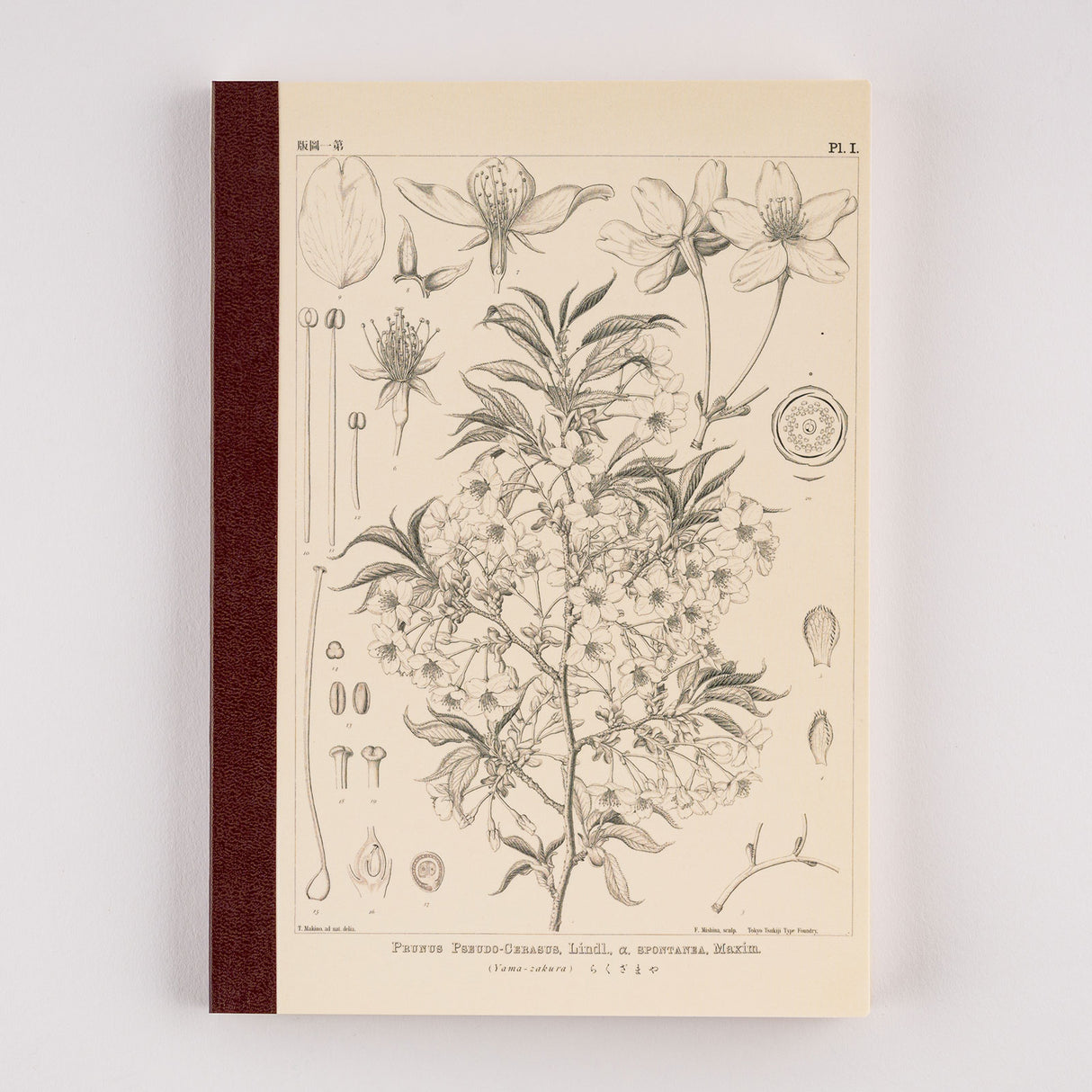 Hobonichi Tomitaro Makino: Hobonichi Graph Notebook (A5) - Yamazakura