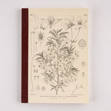 Hobonichi Tomitaro Makino: Hobonichi Graph Notebook (A5) - Yamazakura