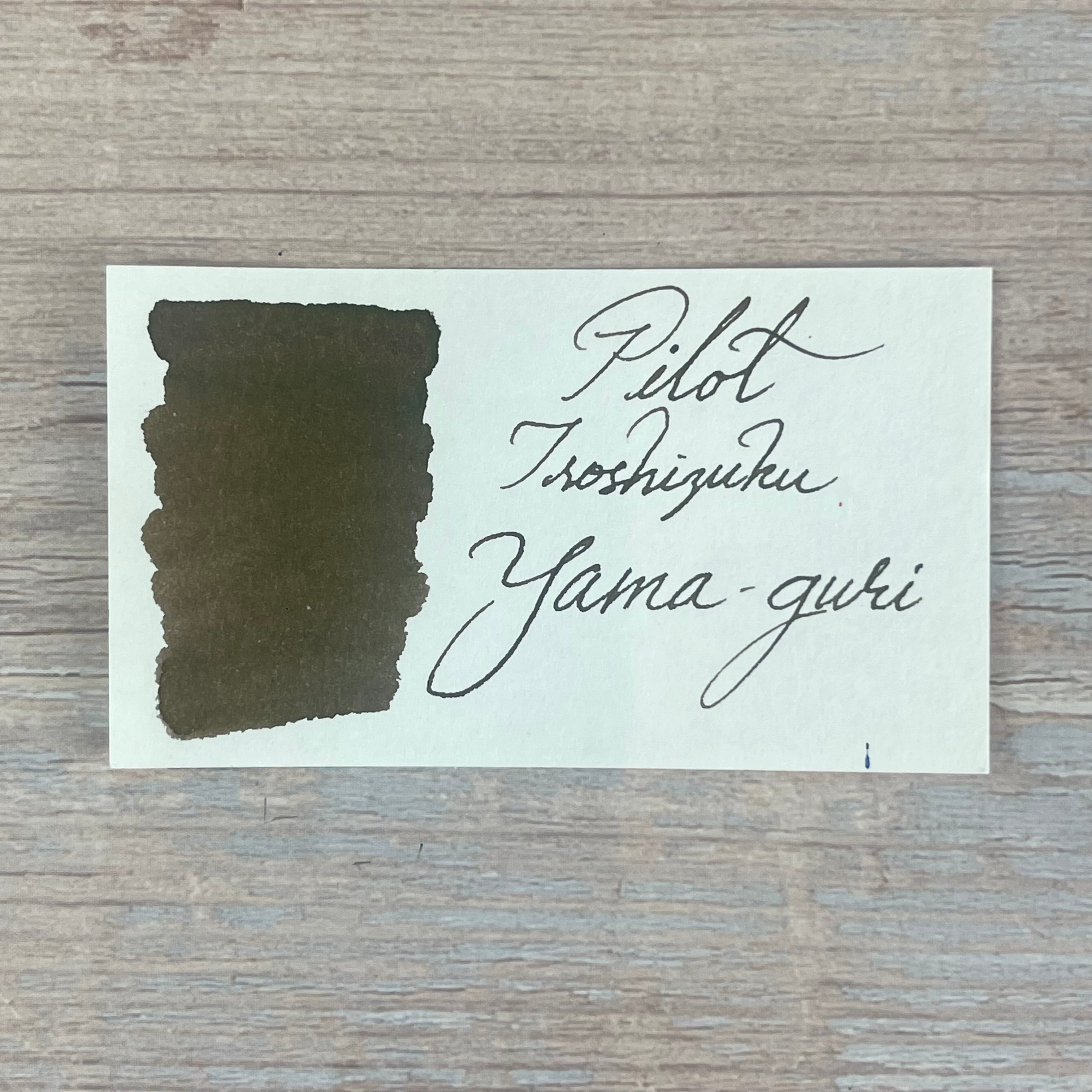 Pilot Iroshizuku Yama-Guri - 50ml Bottled Ink – Atlas Stationers