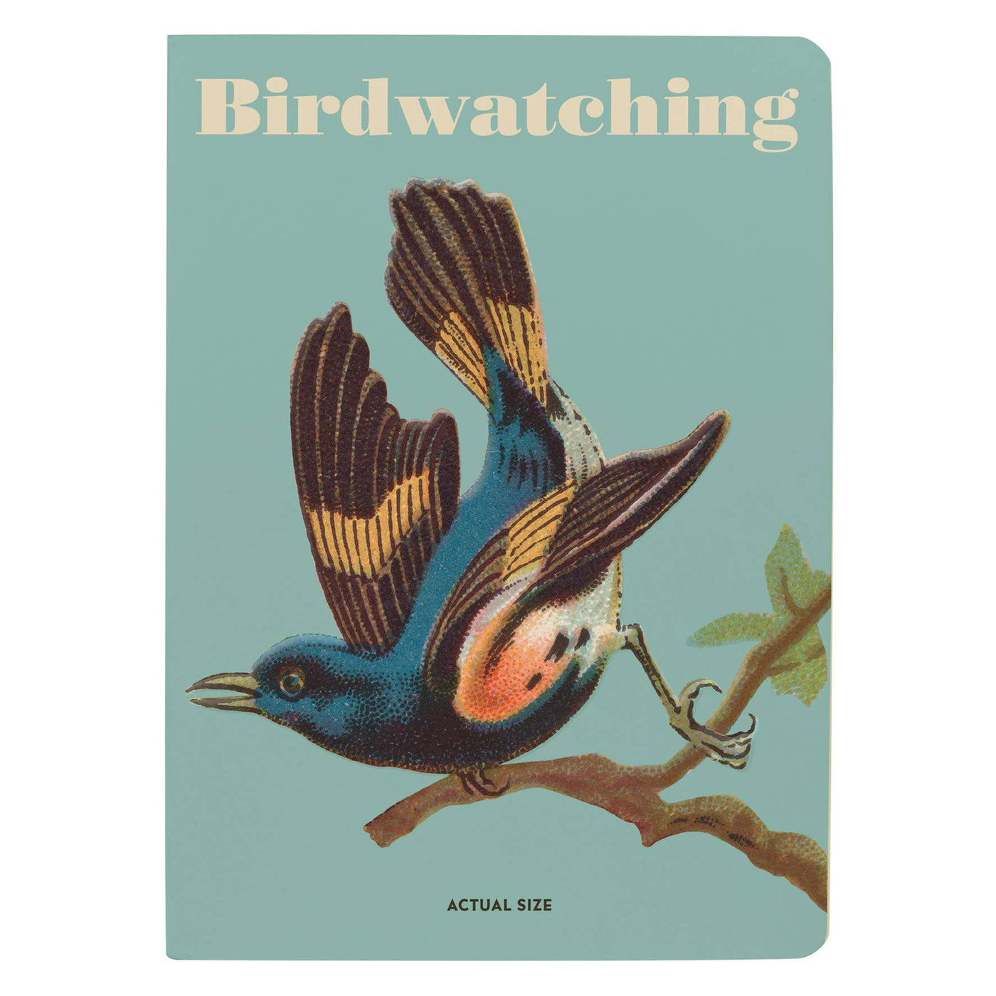 Birdwatching Notebook | Atlas Stationers.