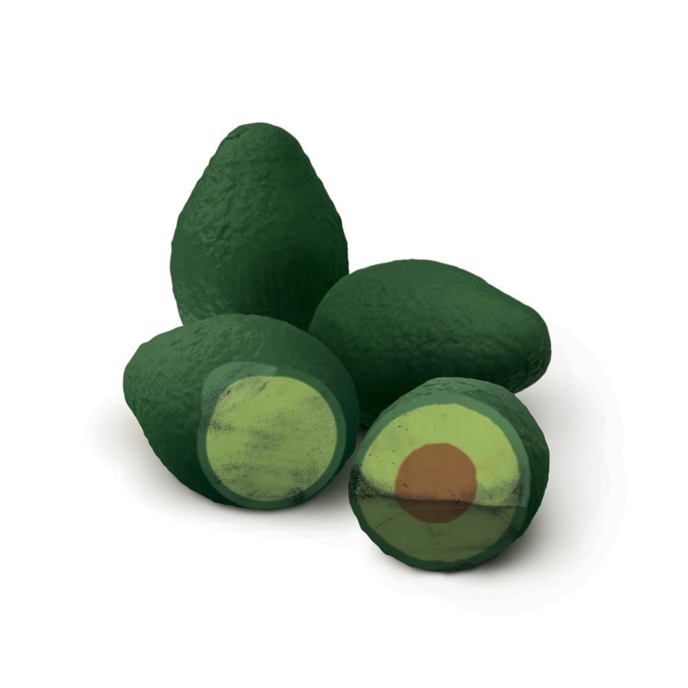 Avocado Erasers | Atlas Stationers.