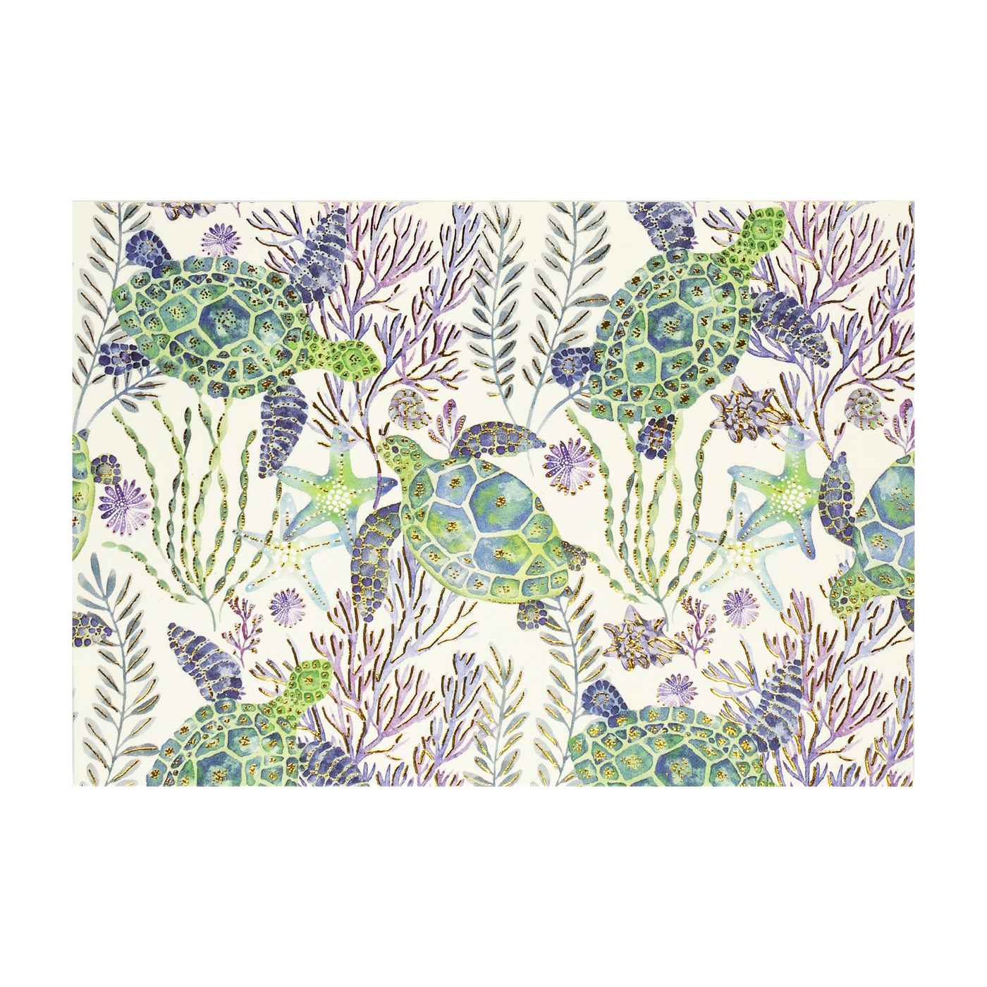 Sea Turtles Note Cards | Atlas Stationers.