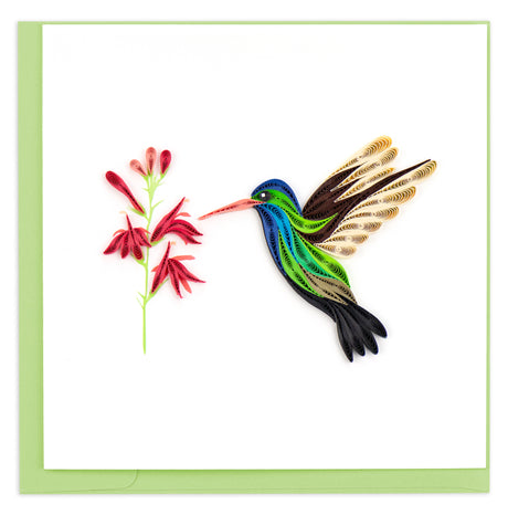 Quilled Broad-billed Hummingbird Greeting Card | Atlas Stationers.