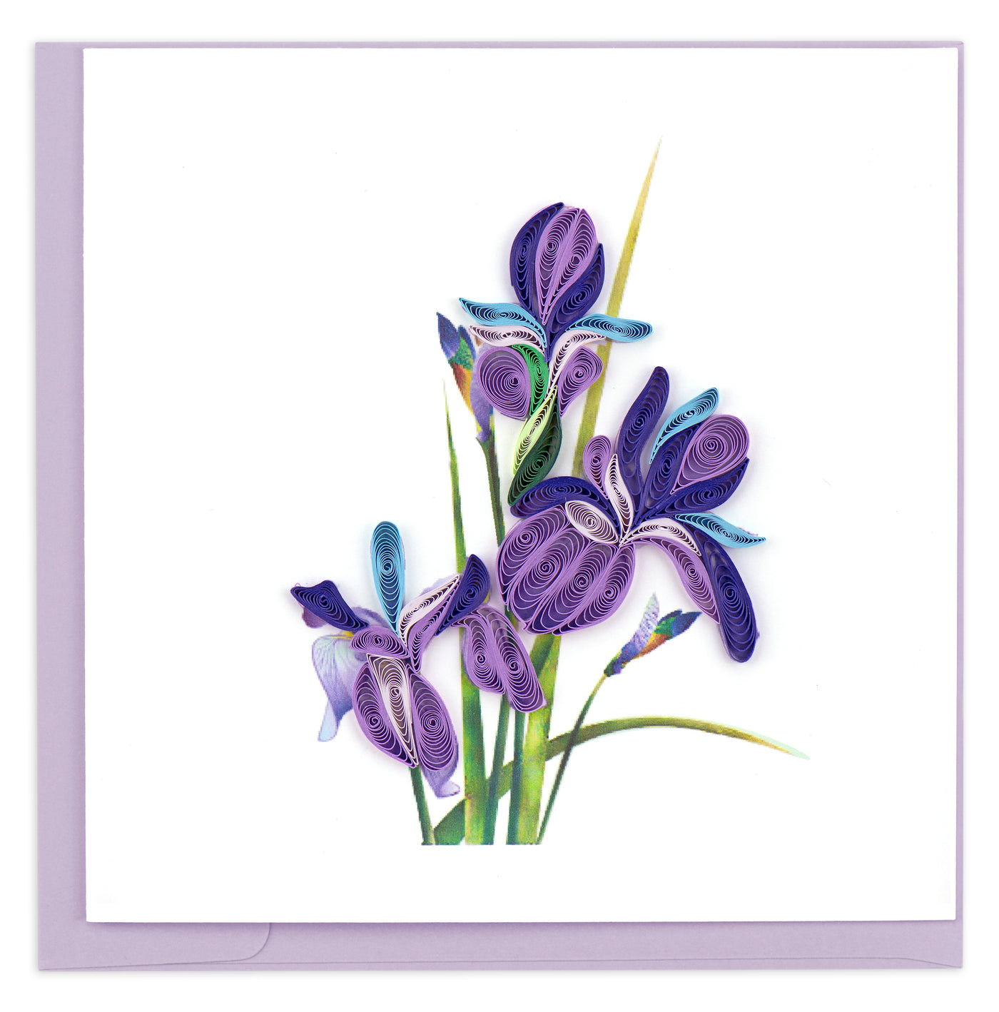 Quilled Iris Greeting Card | Atlas Stationers.