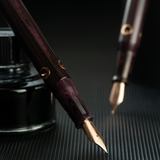 Nahvalur (Narwhal) Nautilus Fountain Pen - Stylophora Berry | Atlas Stationers.