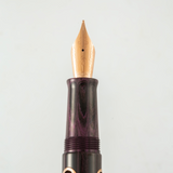 Nahvalur (Narwhal) Nautilus Fountain Pen - Stylophora Berry | Atlas Stationers.