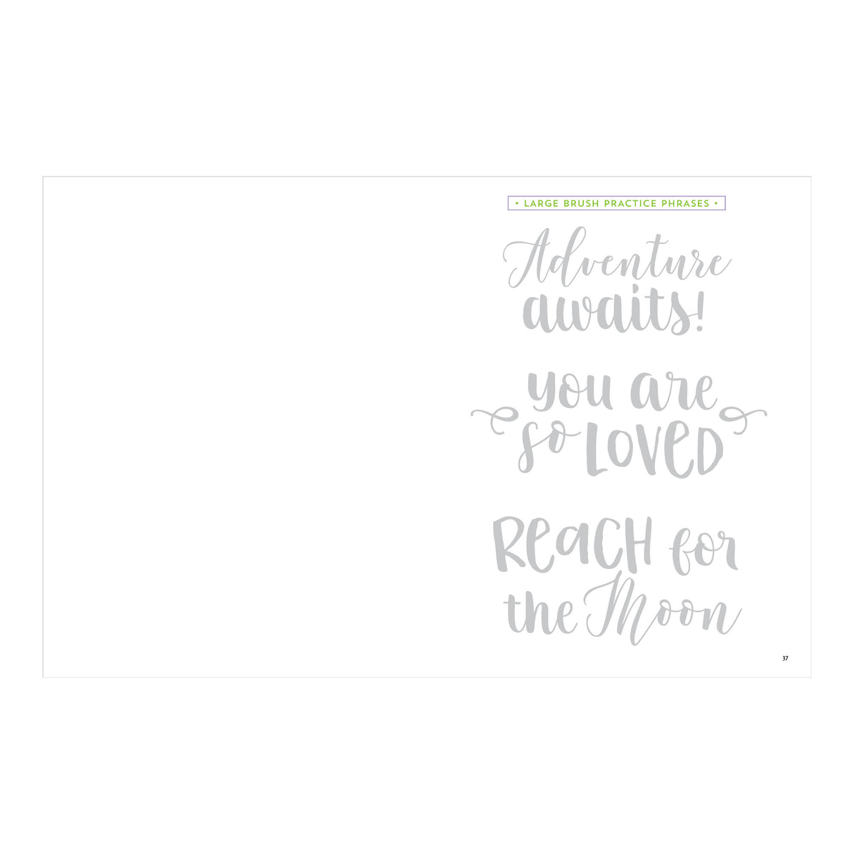 Brush Lettering Workbook | Atlas Stationers.