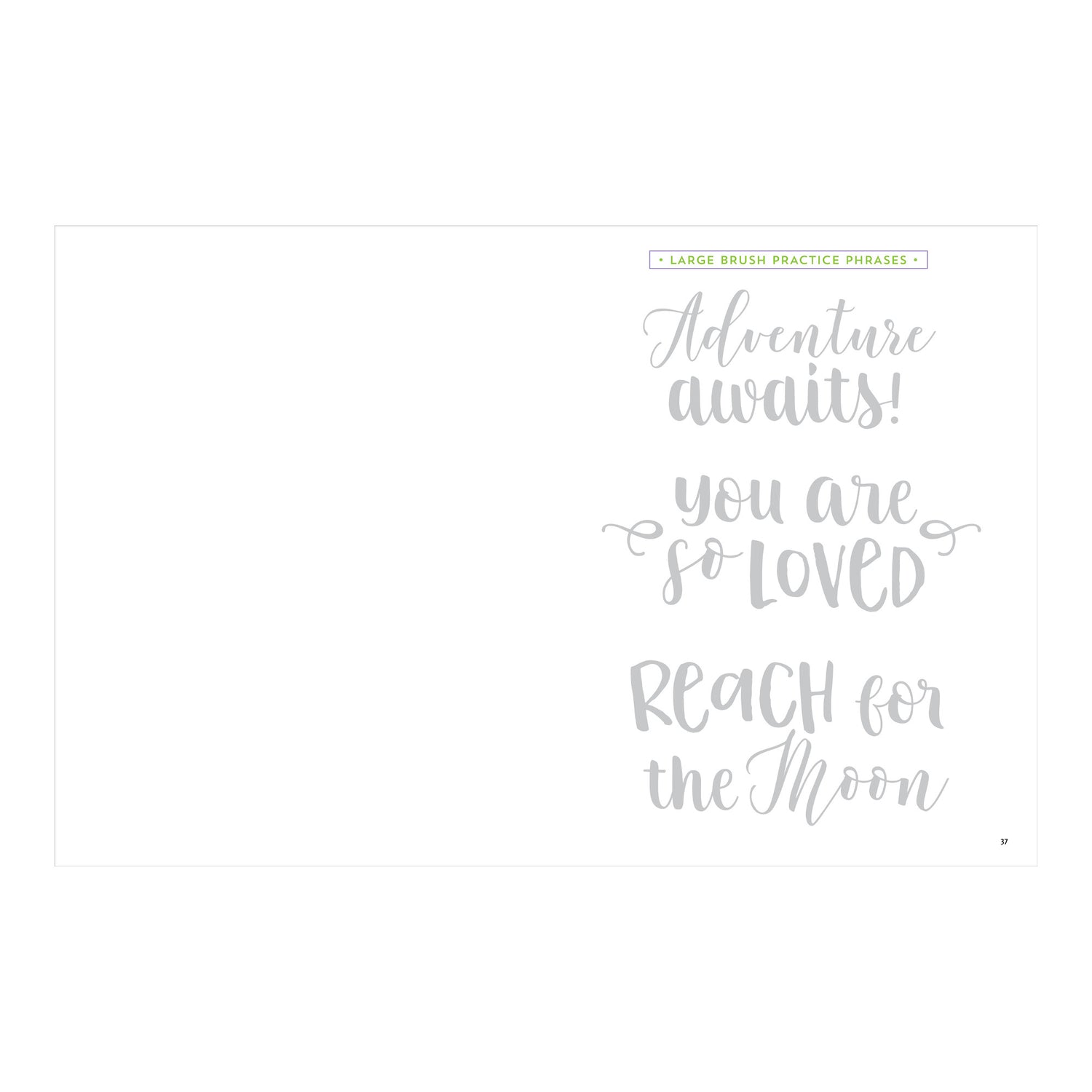 Brush Lettering Workbook | Atlas Stationers.