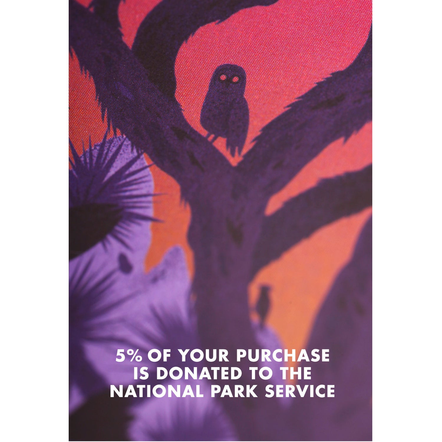 Field Notes National Parks Series B | Atlas Stationers.