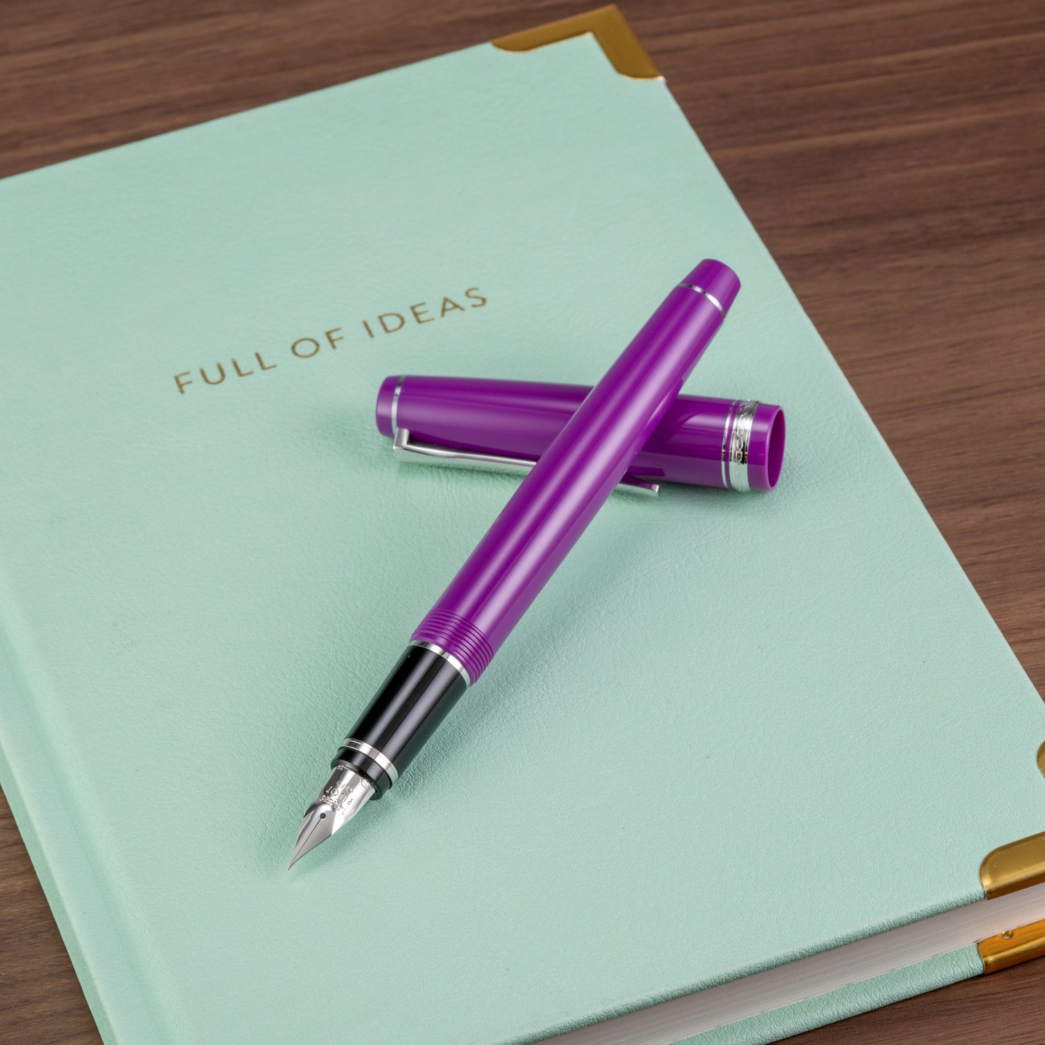 Pilot Falcon Fountain Pen - Purple | Atlas Stationers.