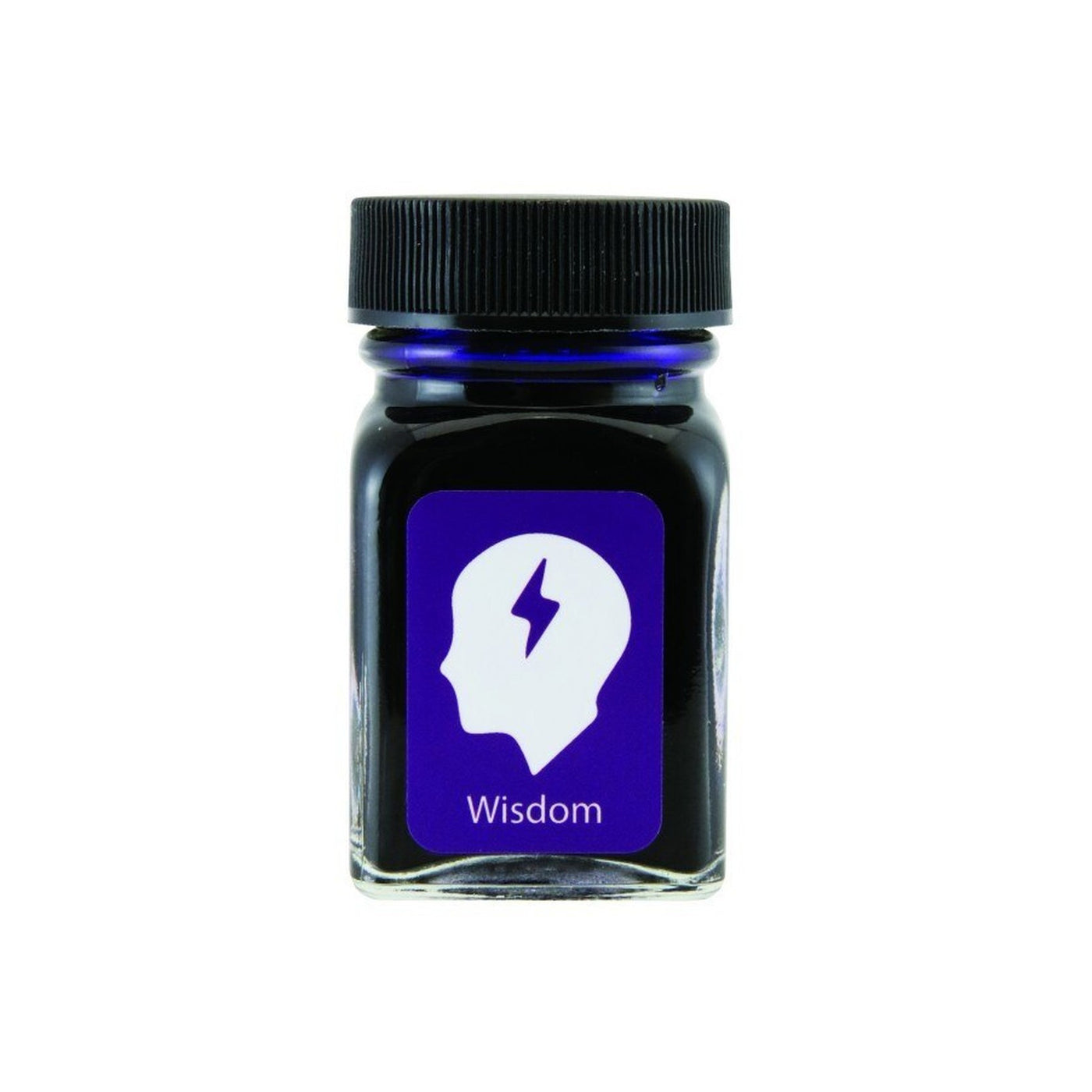 Monteverde Wisdom Purple - 30ml Bottled Ink | Atlas Stationers.