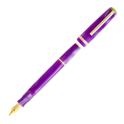 Esterbrook JR Pocket Paradise Fountain Pen - Purple Passion | Atlas Stationers.