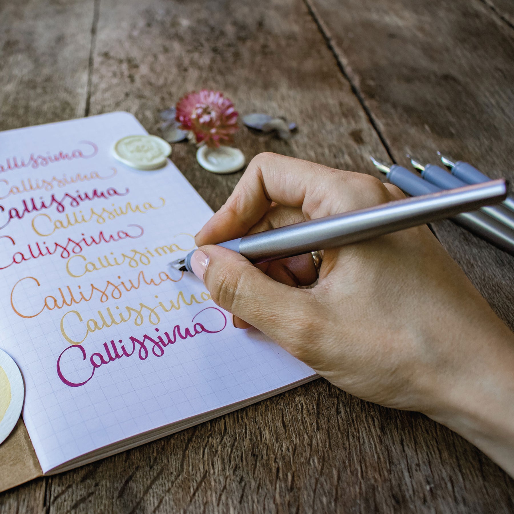 Schneider Callissima Calligraphy Set - Anthracite | Atlas Stationers