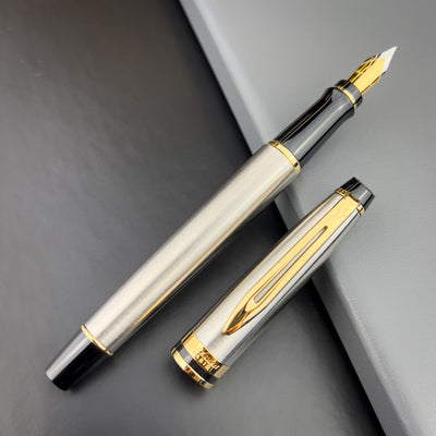 Waterman Expert Fountain Pen - Stainless w/ Gold Trim | Atlas Stationers.