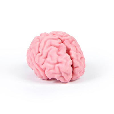 Think Again Brain Eraser | Atlas Stationers.
